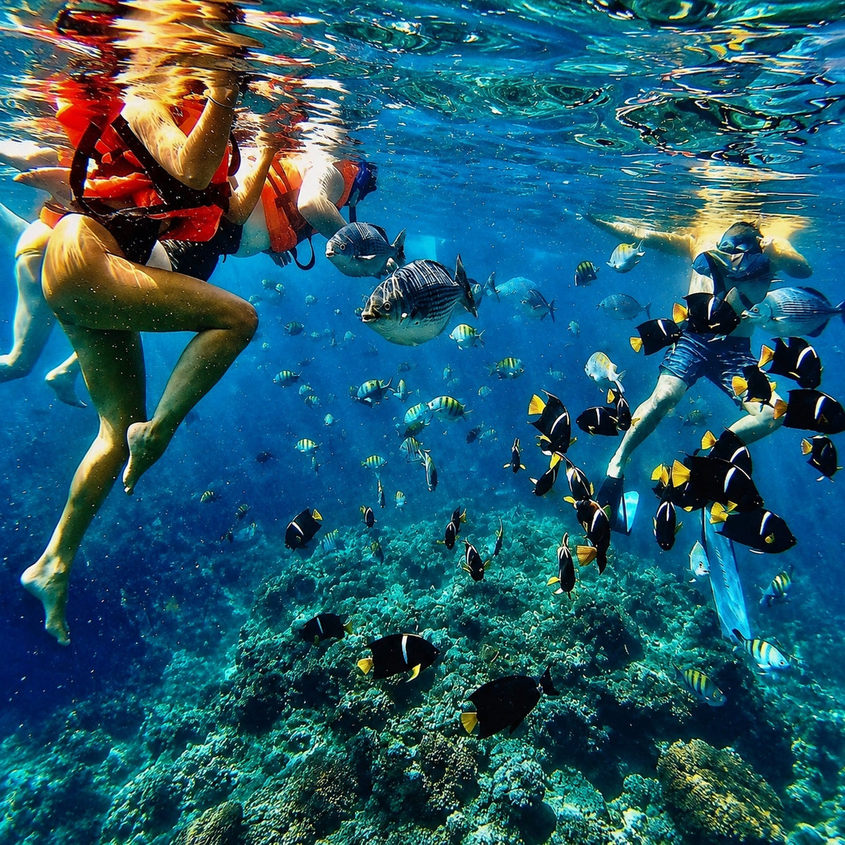 Private Bay Tour (Up to 10 Guests) - 4 Hour Trip