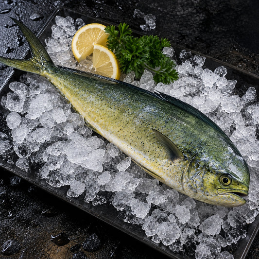 Mahi Mahi - 1 Kg